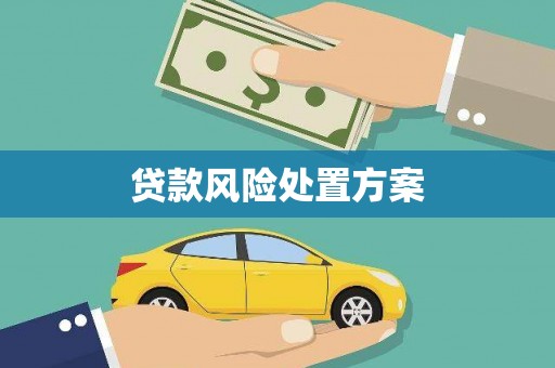 濉溪贷款风险处置方案