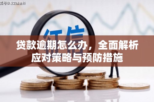 濉溪贷款逾期怎么办，全面解析应对策略与预防措施