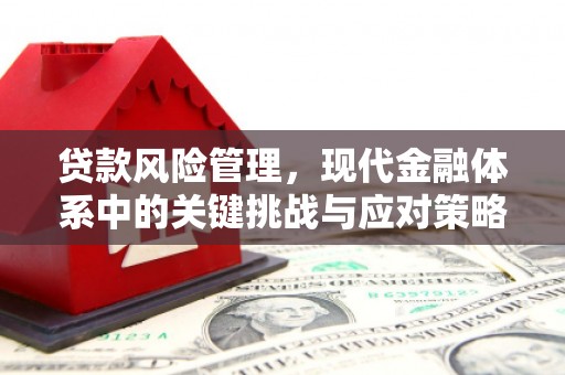 濉溪贷款风险管理，现代金融体系中的关键挑战与应对策略