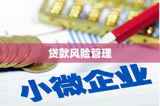 濉溪贷款风险管理