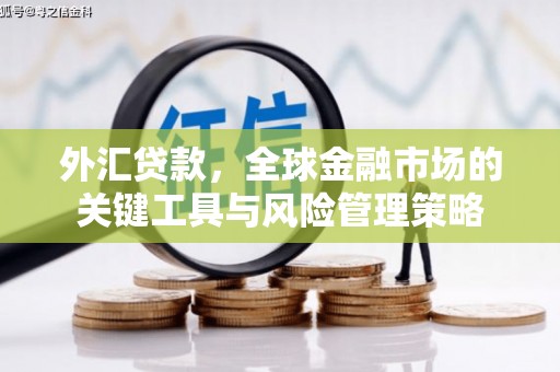 濉溪外汇贷款，全球金融市场的关键工具与风险管理策略