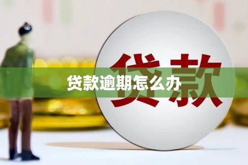 濉溪贷款逾期怎么办