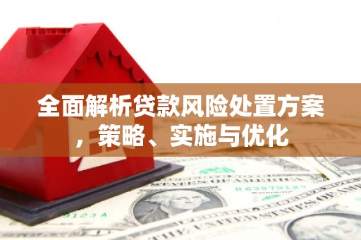 濉溪全面解析贷款风险处置方案，策略、实施与优化