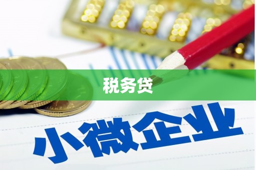 濉溪税务贷