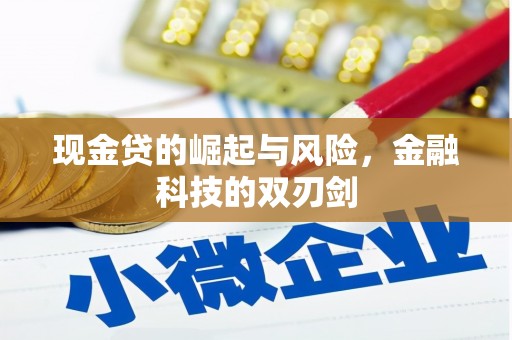 濉溪现金贷的崛起与风险，金融科技的双刃剑