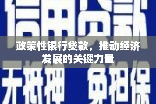 濉溪政策性银行贷款，推动经济发展的关键力量