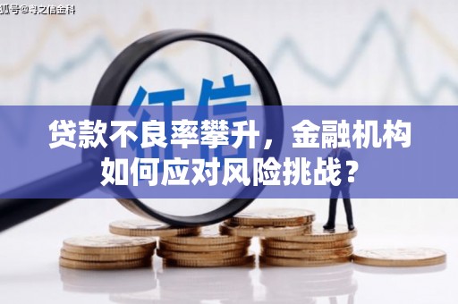 濉溪贷款不良率攀升，金融机构如何应对风险挑战？