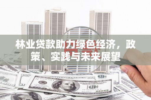 濉溪林业贷款助力绿色经济，政策、实践与未来展望