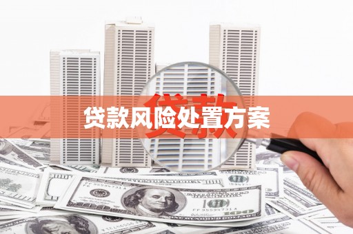 濉溪贷款风险处置方案