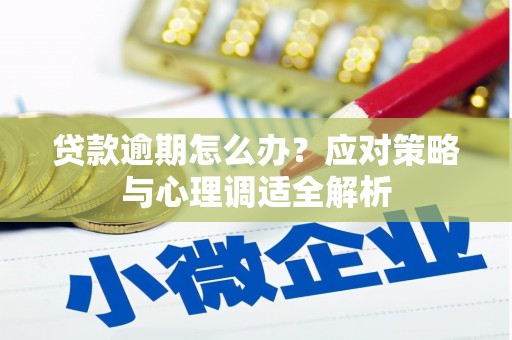 濉溪贷款逾期怎么办？应对策略与心理调适全解析