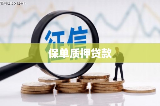 濉溪保单质押贷款