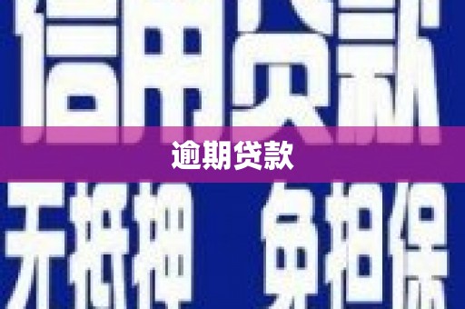 濉溪逾期贷款
