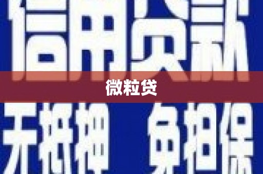 濉溪微粒贷