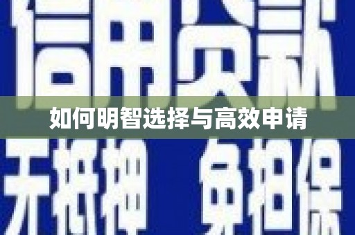 濉溪如何明智选择与高效申请