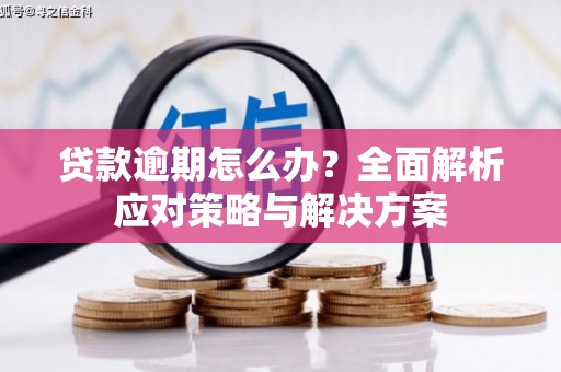 濉溪贷款逾期怎么办？全面解析应对策略与解决方案