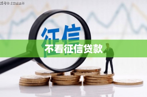 濉溪不看征信贷款