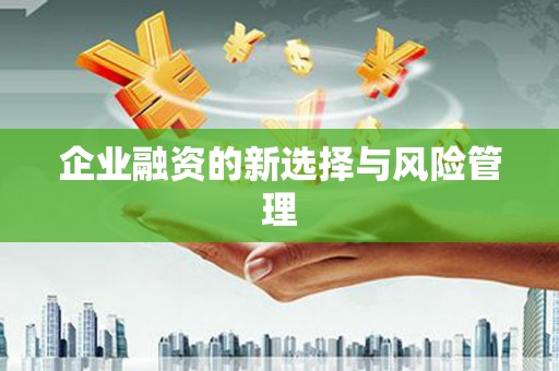 濉溪企业融资的新选择与风险管理