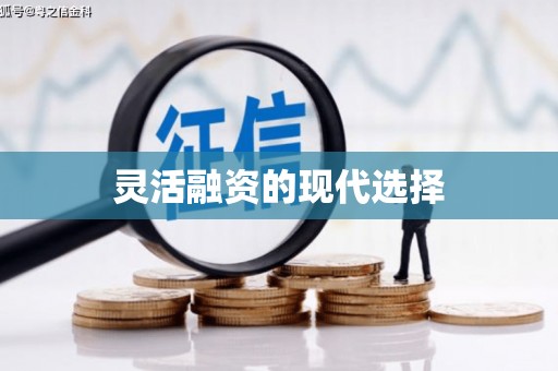 濉溪灵活融资的现代选择