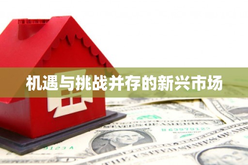濉溪机遇与挑战并存的新兴市场